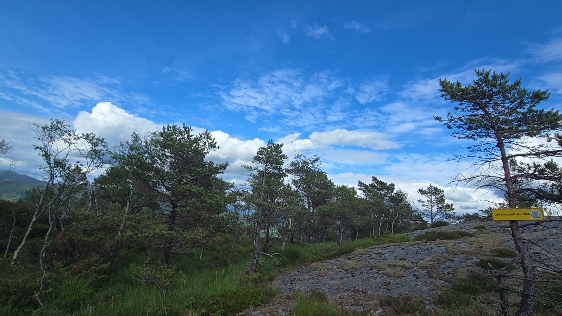 Pål Viland Monstad og Hedda